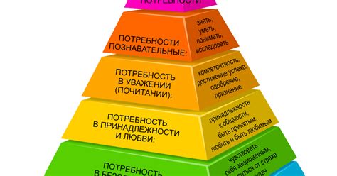 Зачем нужно удовлетворять потребности кота в активности