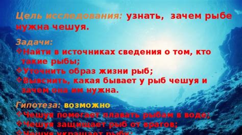 Зачем рыбам доступ к воздуху в аквариуме