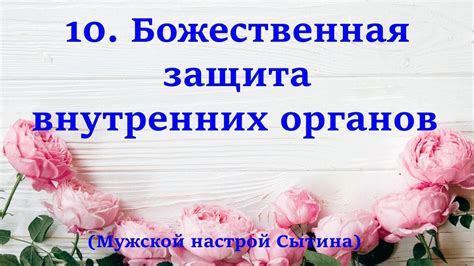 Защита внутренних органов