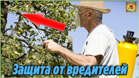 Защита от вредителей