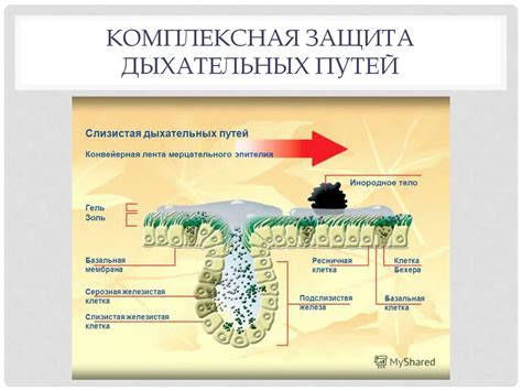 Защитная реакция или ощущение комфорта?