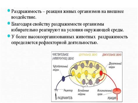 Защитная реакция на раздражители воздуха