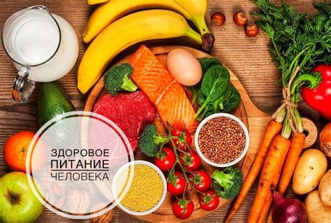 Здоровое питание: важность баланса и его влияние на наше здоровье и продуктивность