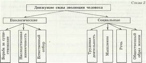 Зевота и социальные факторы