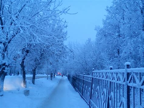 Зимние прогулки по паркам города