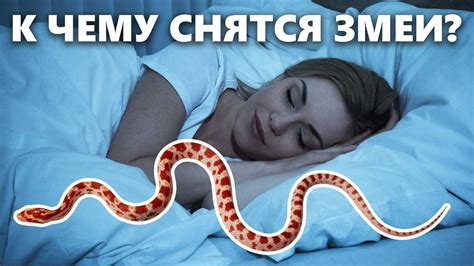 Змеи во сне: благоприятное значение