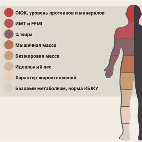 Знаки в снах коровы: интерпретация и расшифровка