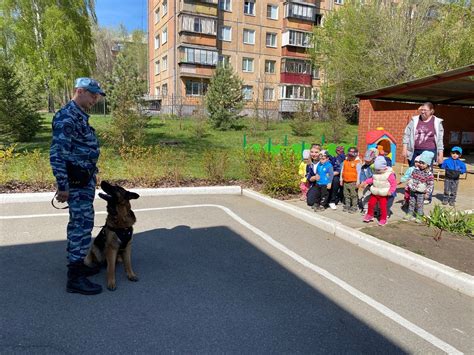 Знаки снов: встреча с маленьким четвероногим другом на улице