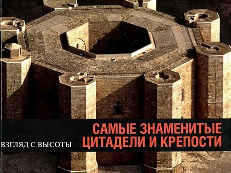 Знаменитые символы крепости и продолжительности: толкование снов с лесными хвойными деревьями