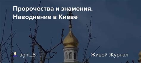 Знамения и пророчества: загадочный сон о могущественной кобыле