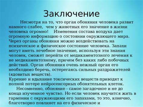 Значение ароматов, воспринимаемых через ноздри в сновидениях