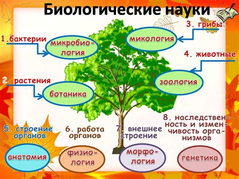 Значение биологии в экологии