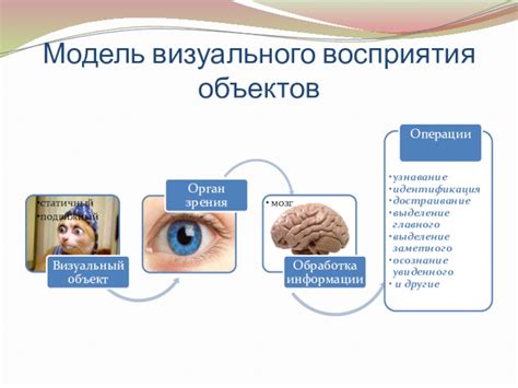 Значение визуального восприятия мощного и грозного зверя во времена отдыха мозга