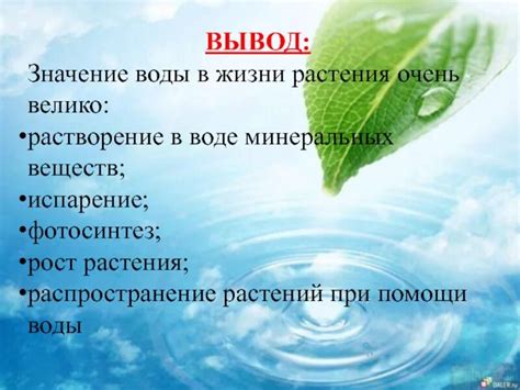 Значение воды для жизнедеятельности