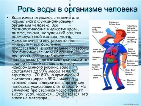 Значение воды для нормального функционирования организма