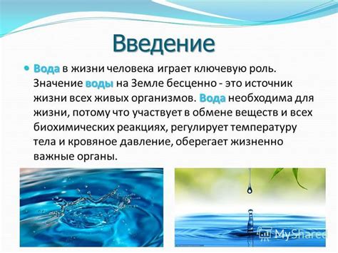 Значение выливания грязной воды на разных стадиях жизни