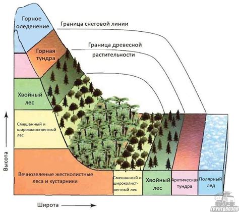 Значение высотной зональности в географии