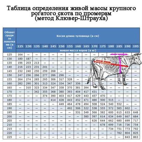 Значение гуртовины скота в угрюмых снах