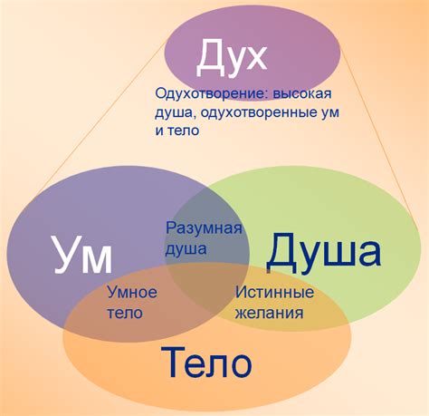 Значение души в религии и философии