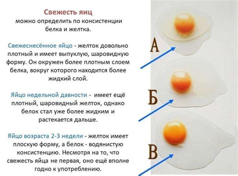 Значение испорченного яйца в сновидениях