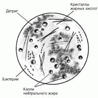 Значение и роль жирных кислот в кале