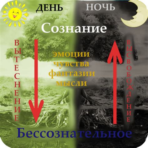 Значение и смысл снов в жизни человека