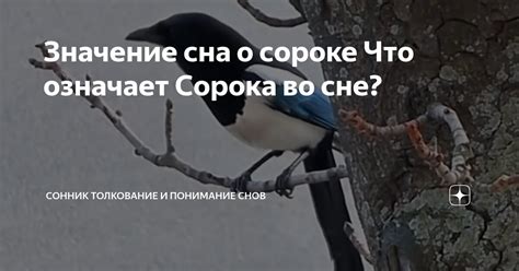 Значение и толкование снов о челке: понимание символики прически