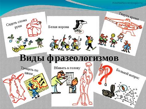 Значение и функции фразеологизмов