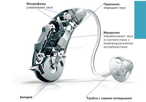 Значение коммуникации для развития слухового аппарата