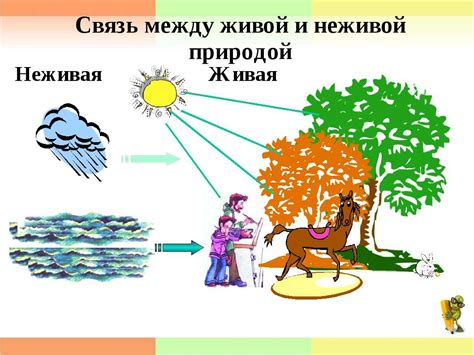 Значение понимания сходств живой и неживой природы