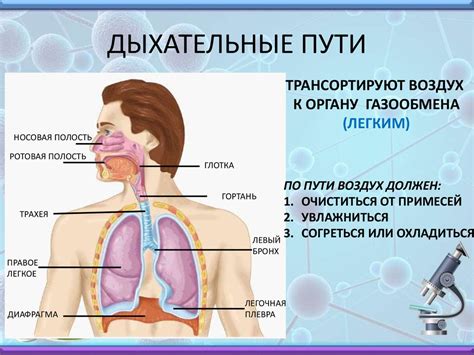 Значение постоянного дыхания для успешного прохождения теста