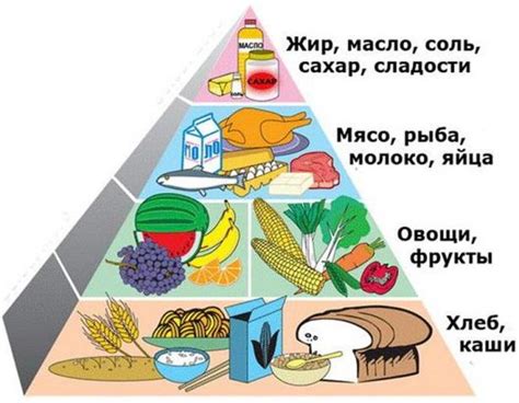 Значение различных пищевых продуктов в сновидении о торговом центре