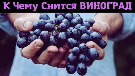 Значение символа виноград во сне