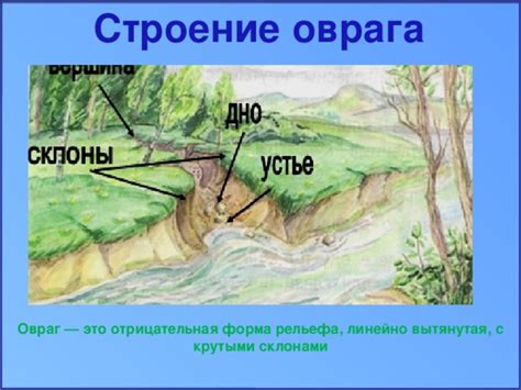 Значение сна: овраг в покрове зимнего пуха