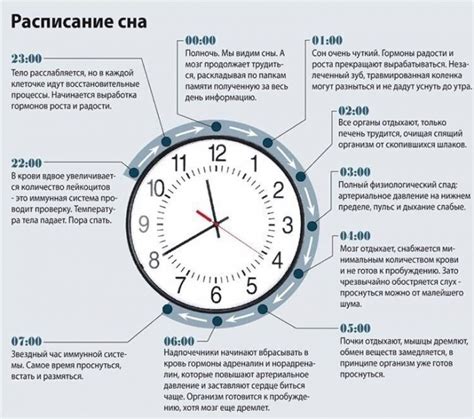 Значение сна для поддержания здоровья