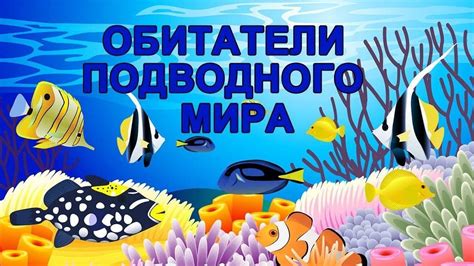 Значение сна о морских обитателях для представительниц прекрасного пола в океане