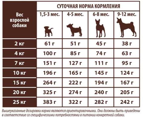 Значение сна о собаке в зависимости от её цвета и размера