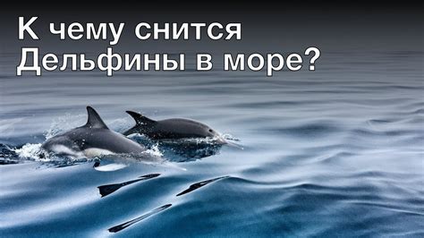 Значение сна о черном море и его бурных колыханиях