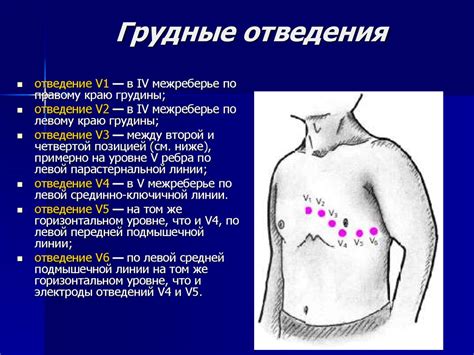 Значение сновидений о поражении задней области сердца: возможные интерпретации