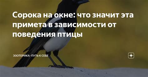 Значение сновидения о гусе мужчине в зависимости от поведения птицы