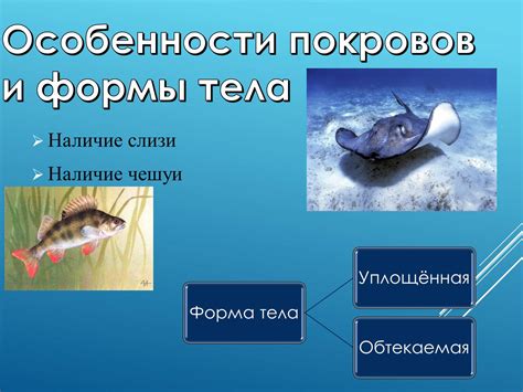 Значение сновидения о спасении человека в водной среде: пророческая предсказательность или символ подсознания?