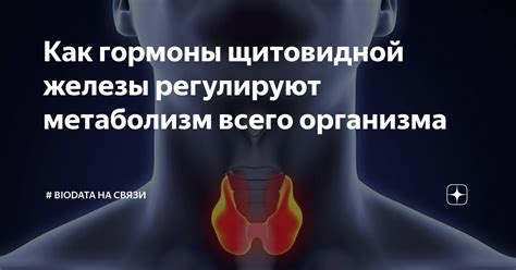 Значение снов о двух мужчинах и их связи с состоянием щитовидной железы