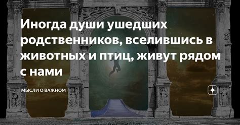 Значение ушедших родственников в сновидениях: символика присутствия матери и бабушки