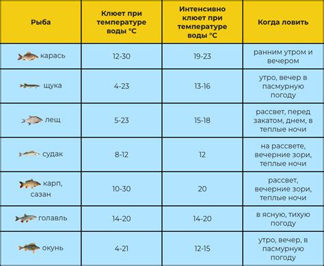 Значение холодной заснеженной рыбы в сновидениях