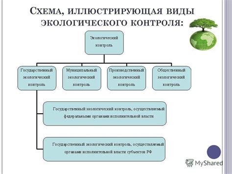 Значение экологического правила