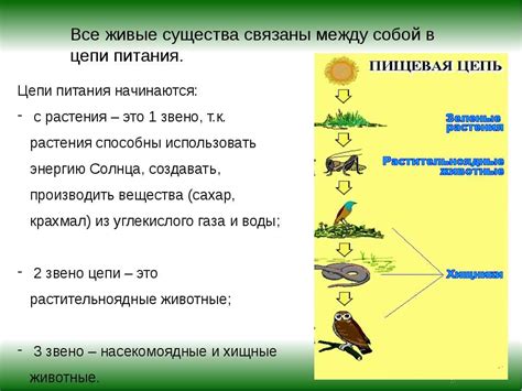 Значение энергетических уровней для экосистемы