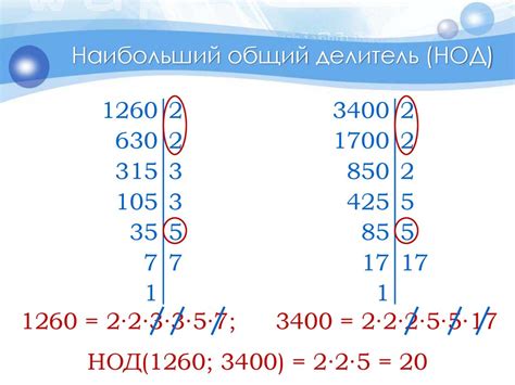 Значимость и применение нод и нок в реальной жизни