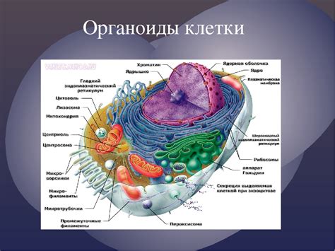 Значимость пустой клетки в рисунке