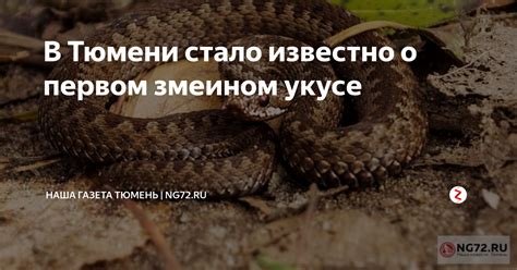 Значимость сновидения о свернутом клубке змеином для мужчины в толковании Миллера