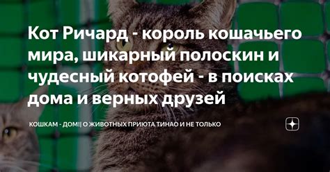 Значимость снов о мощных представителях кошачьего мира в психологических интерпретациях
